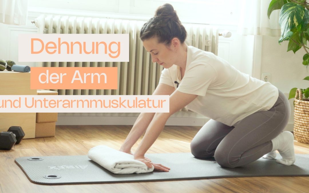 Dehnung der Arm und Unterarmmuskulatur